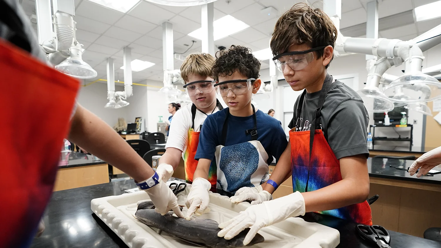Three children wearing safety goggles, gloves, and aprons perform a fish dissection in a Texas A&M science laboratory during a summer camp.
