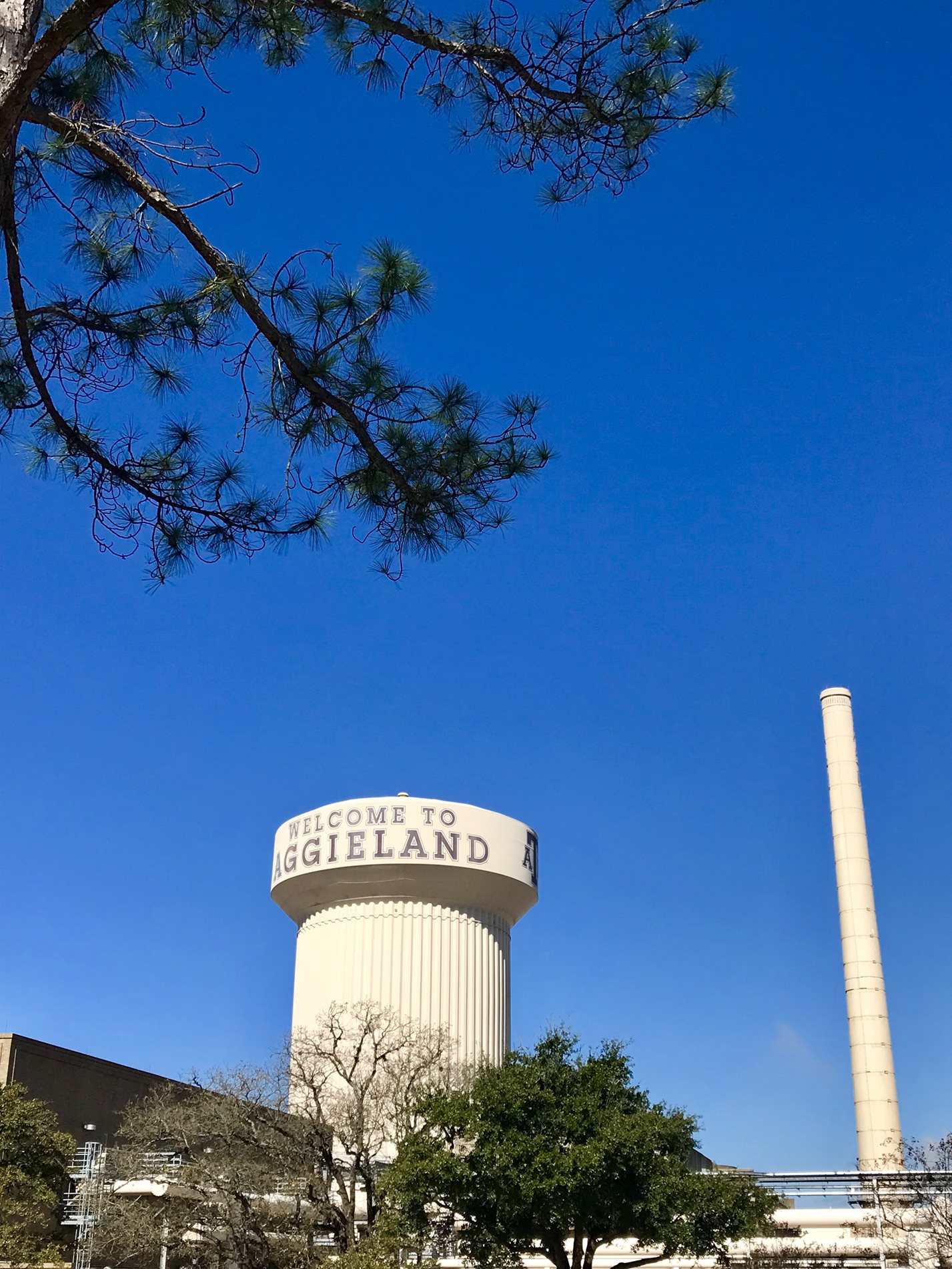 The Welcome to Aggieland water tower against a blue sky.